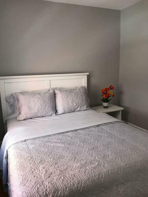 Bright, Clean, Private. In The Heart Of Downtown! Parking, Wi-Fi And Netflix Included Διαμέρισμα Οττάβα Εξωτερικό φωτογραφία